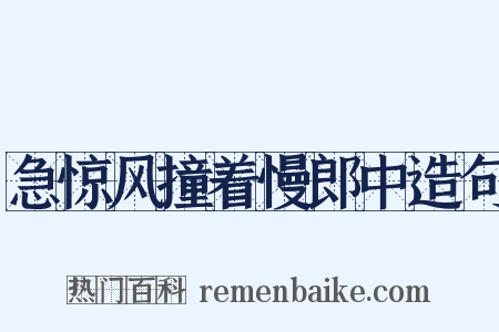 急惊风撞着慢郎中造句是什么意思的图片